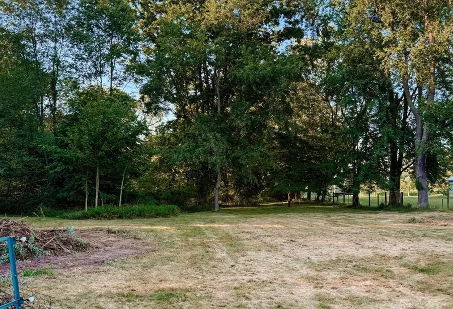 Open lawn under mature trees after clearing, with a small brush pile at one side