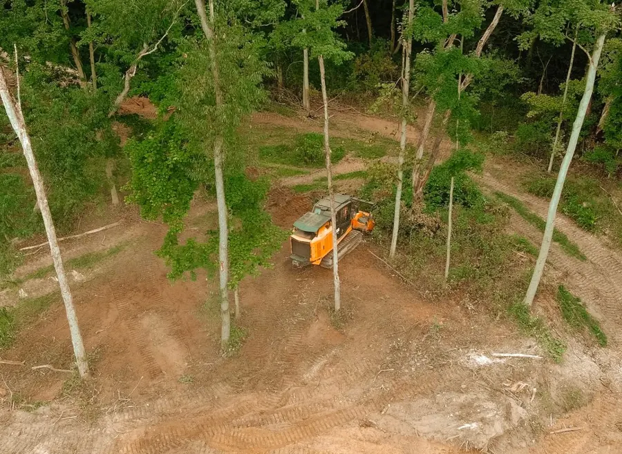 Drone view of a forestry mulcher working between tall trees on cleared ground