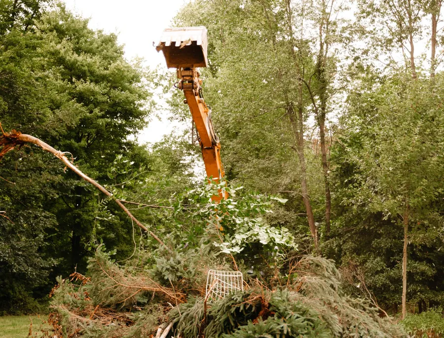 Excavator boom raised high above a pile of downed evergreen trees
