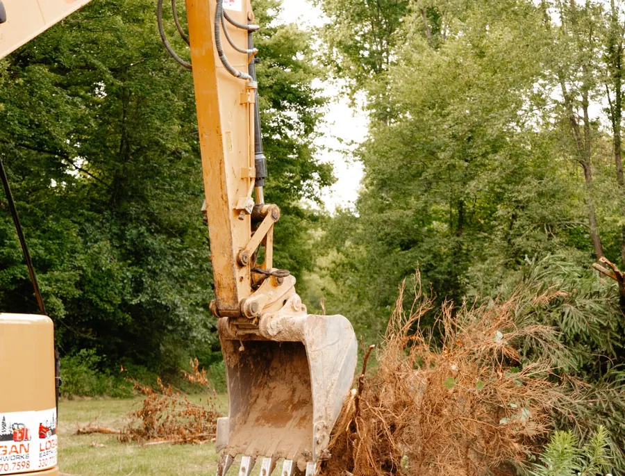 Excavator bucket set beside an uprooted shrub with roots exposed on a lawn