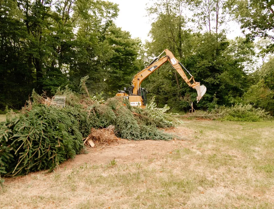 Wide view of an excavator beside a long pile of cut evergreens