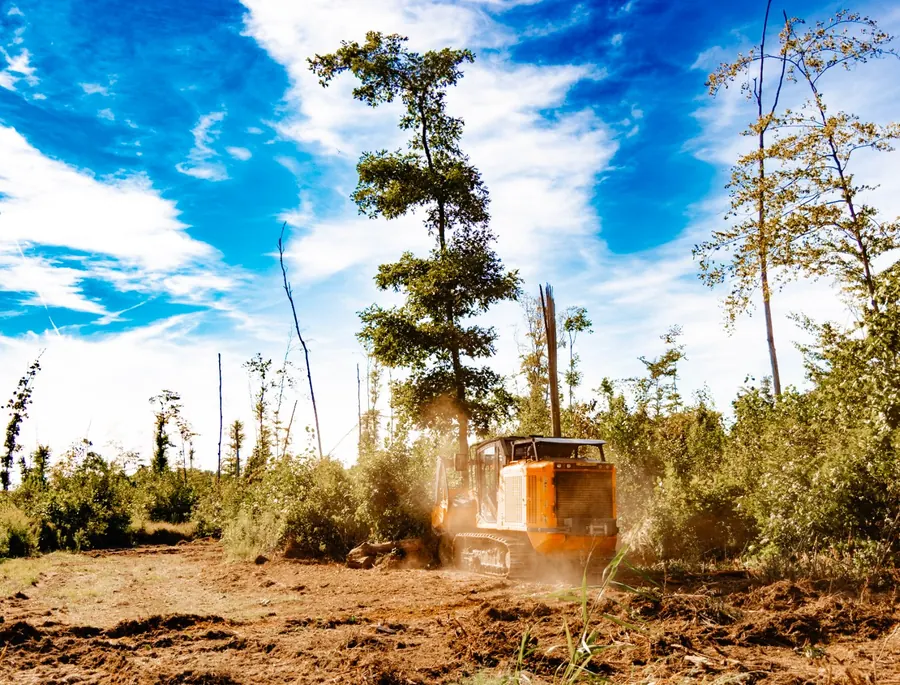 Tracked forestry mulcher kicking up dust at a brushy treeline under blue sky