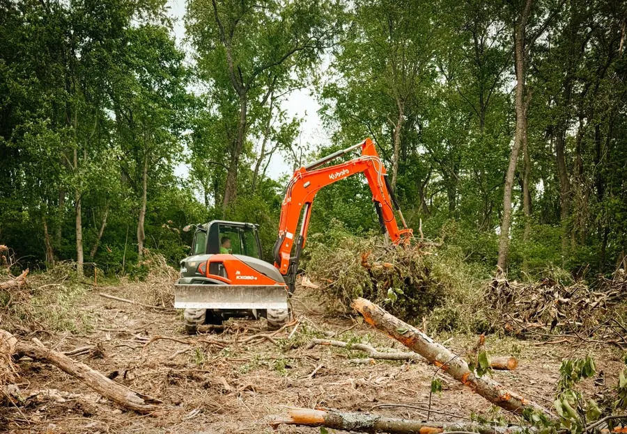 Orange compact excavator piling brush and downed trees on a wooded lot