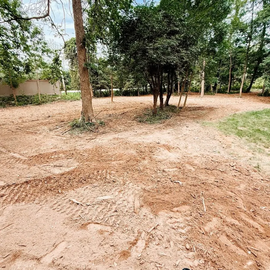 Ground cleared of underbrush beneath standing trees next to a lawn